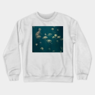 Jellyfish Dance VI. Vladivostok Aquarium Crewneck Sweatshirt